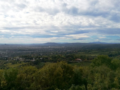 Die Mobile Event App bei der ECVV2017 in Wien